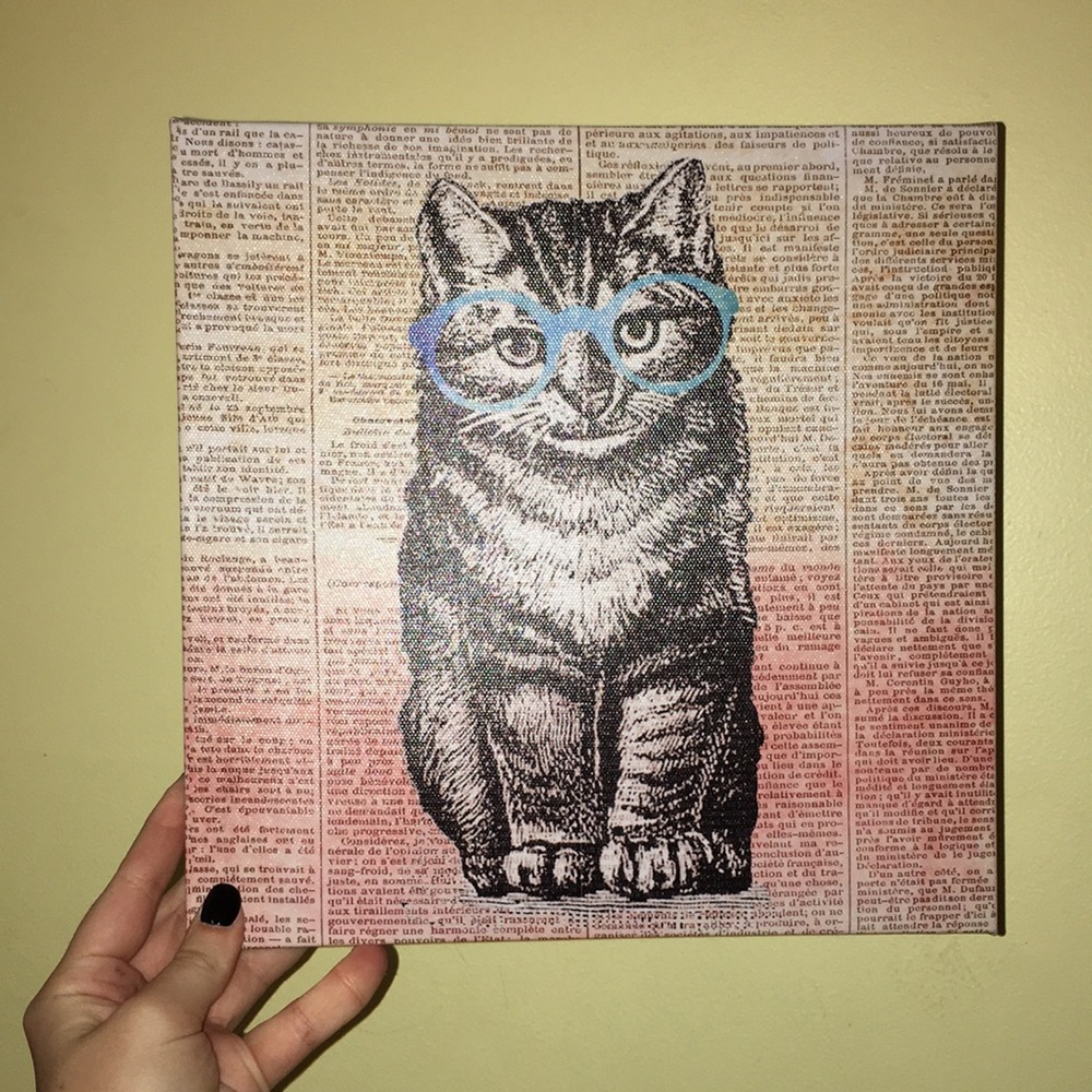 cat in glasses canvas | NWOT
